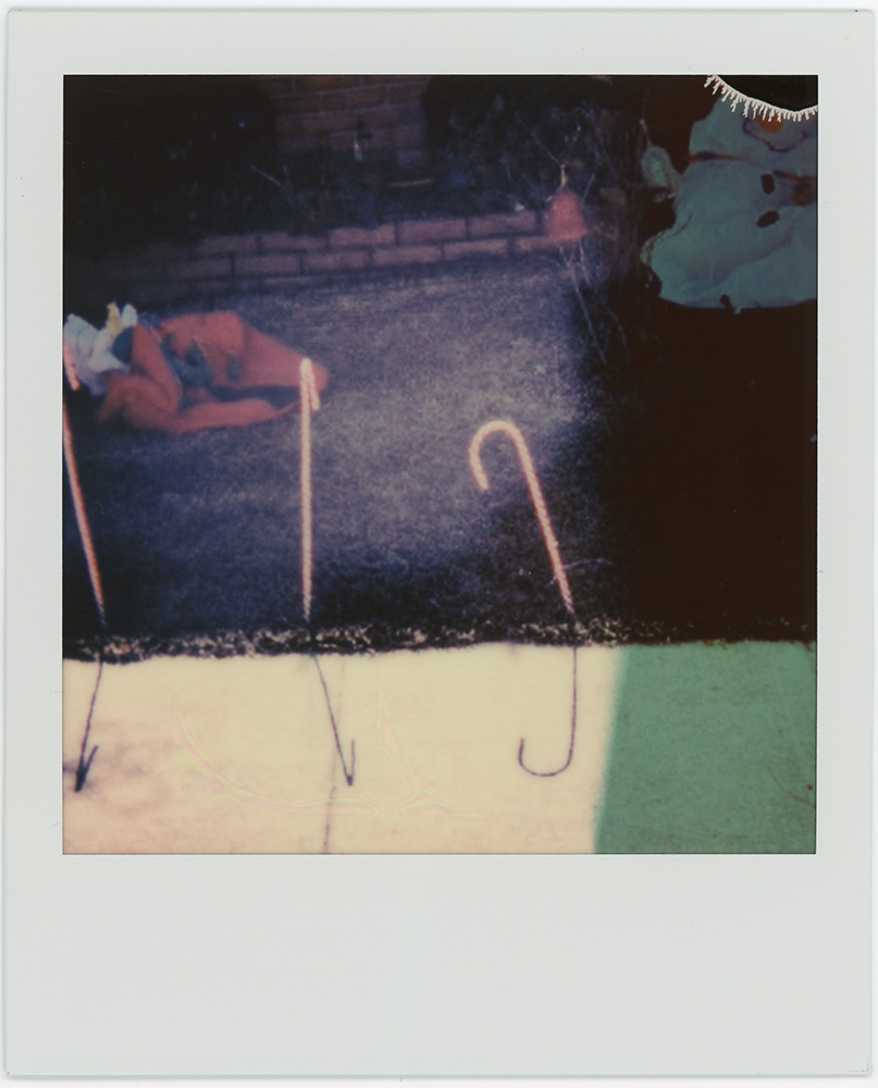 Polaroid 100